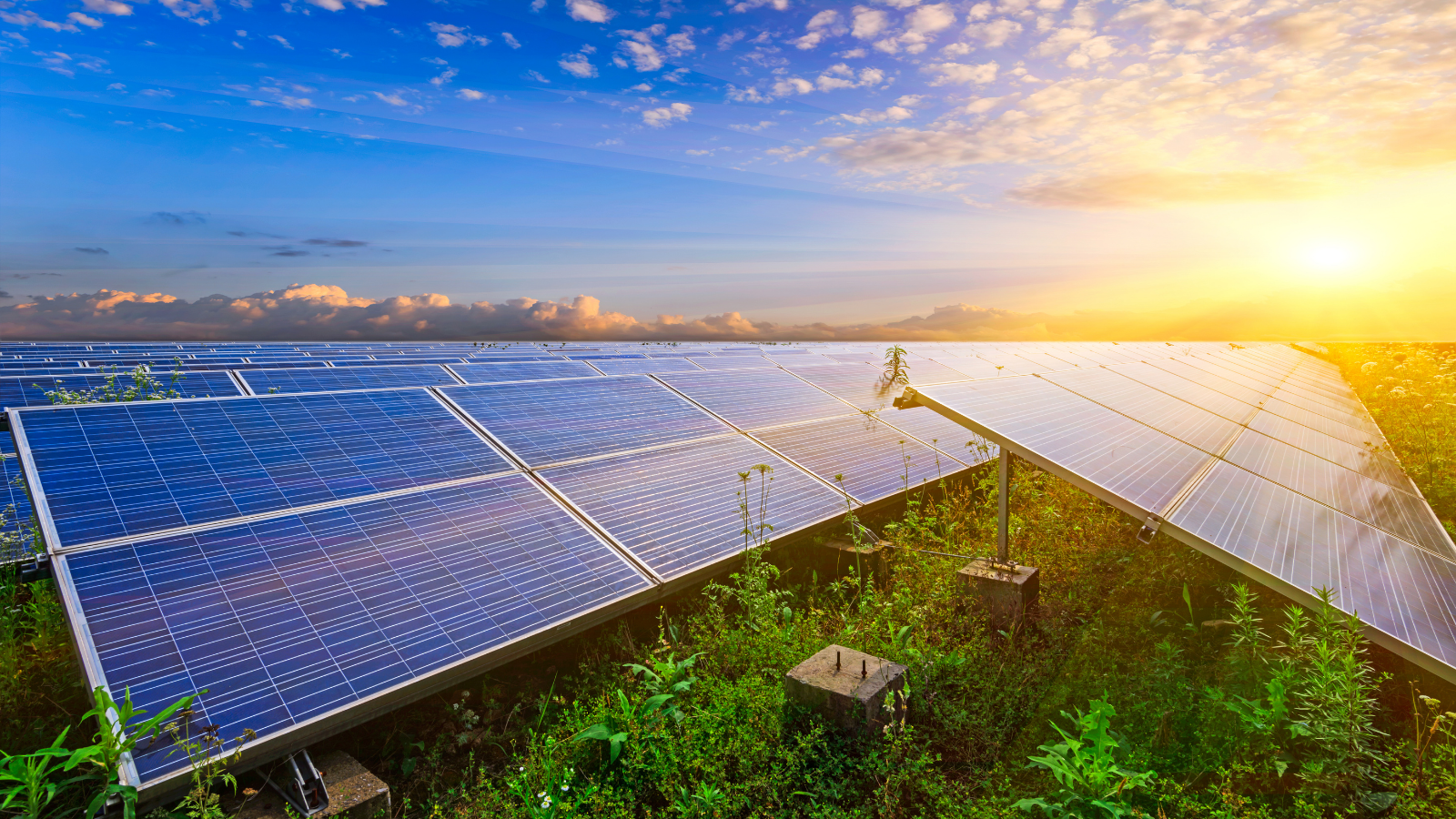 Akquise für Photovoltaik-Händler